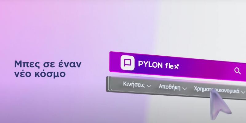 PYLON Flex: Όλες οι Διασυνδέσεις που χρειάζεσαι για μια Επιχείρηση χωρίς περιορισμούς.