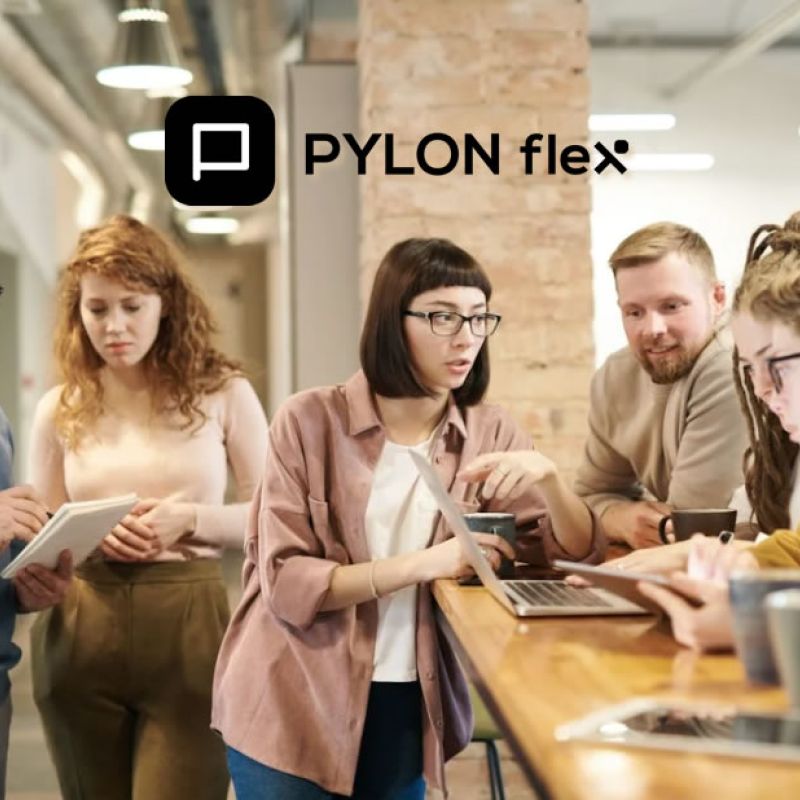 PYLON Flex: Οι διασυνδέσεις που απογειώνουν την Επιχείρησή σας