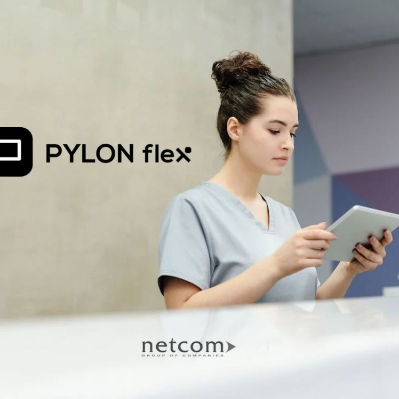 PYLON Flex &gamma;&iota;&alpha; &Epsilon;&tau;&alpha;&iota;&rho;&epsilon;ί&epsilon;&sigmaf; &Pi;&alpha;&rho;&omicron;&chi;ή&sigmaf; &Upsilon;&pi;&eta;&rho;&epsilon;&sigma;&iota;ώ&nu;